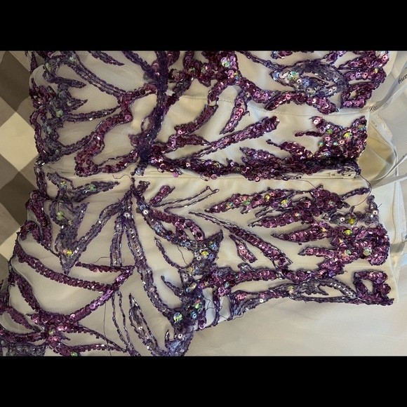 Tiffany Prom dress - size 4 - Picture 7 of 8